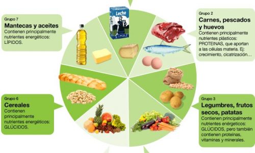 Alimentación, Dieta y Nutrición